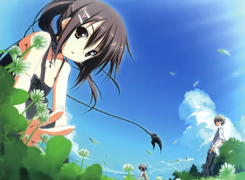 Anime girl in a field