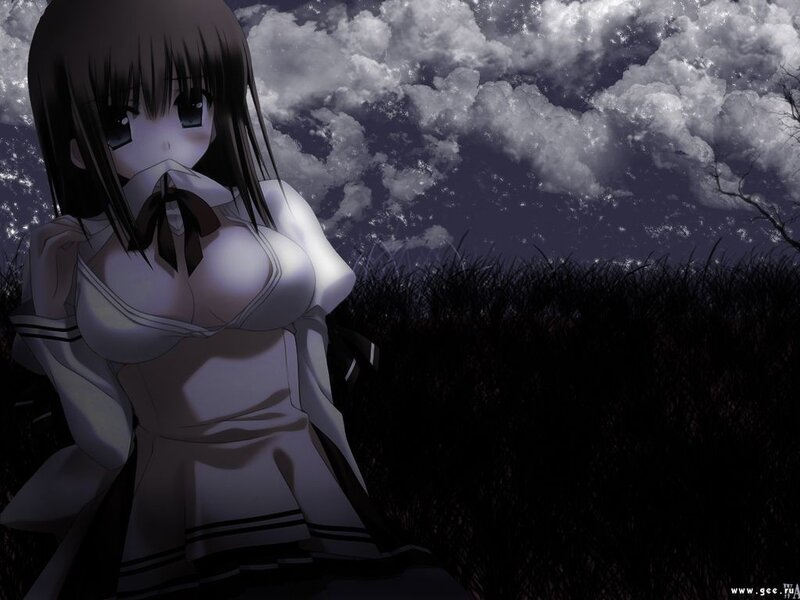 anime girl in a field at night