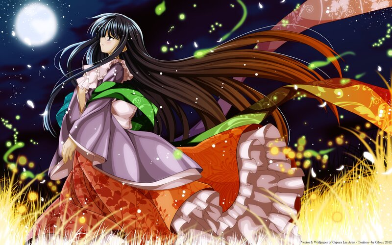 Anime girl in a field at night