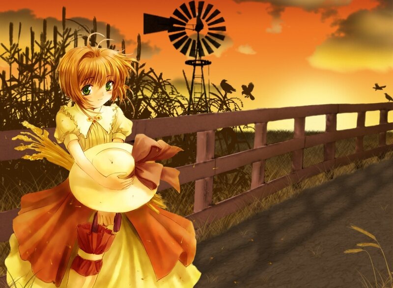 Anime girl in a field at sunset