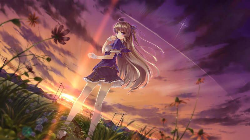 Anime girl in a field at sunset