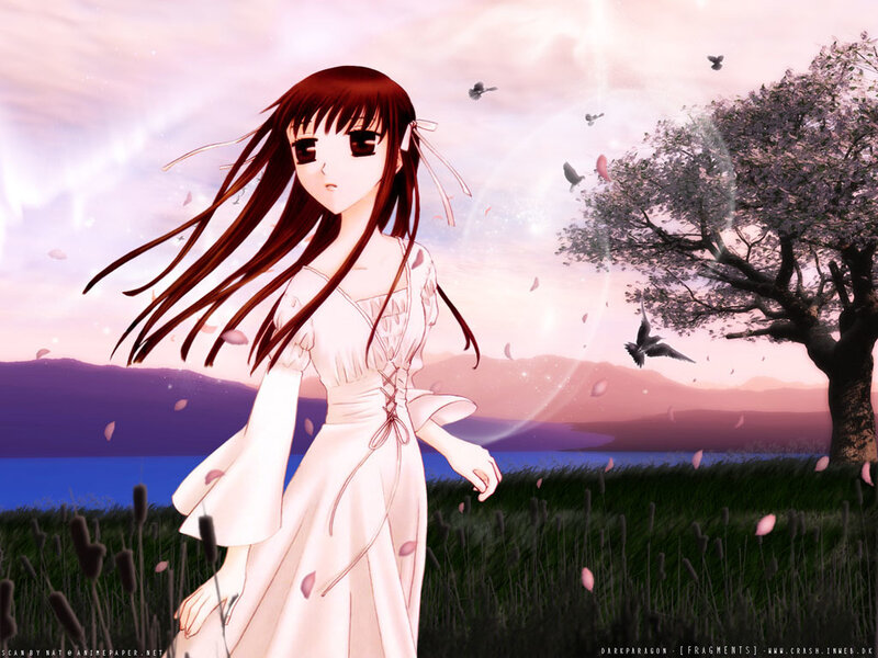 Anime girl in a field at sunset