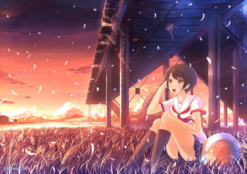 Anime girl in a field at sunset