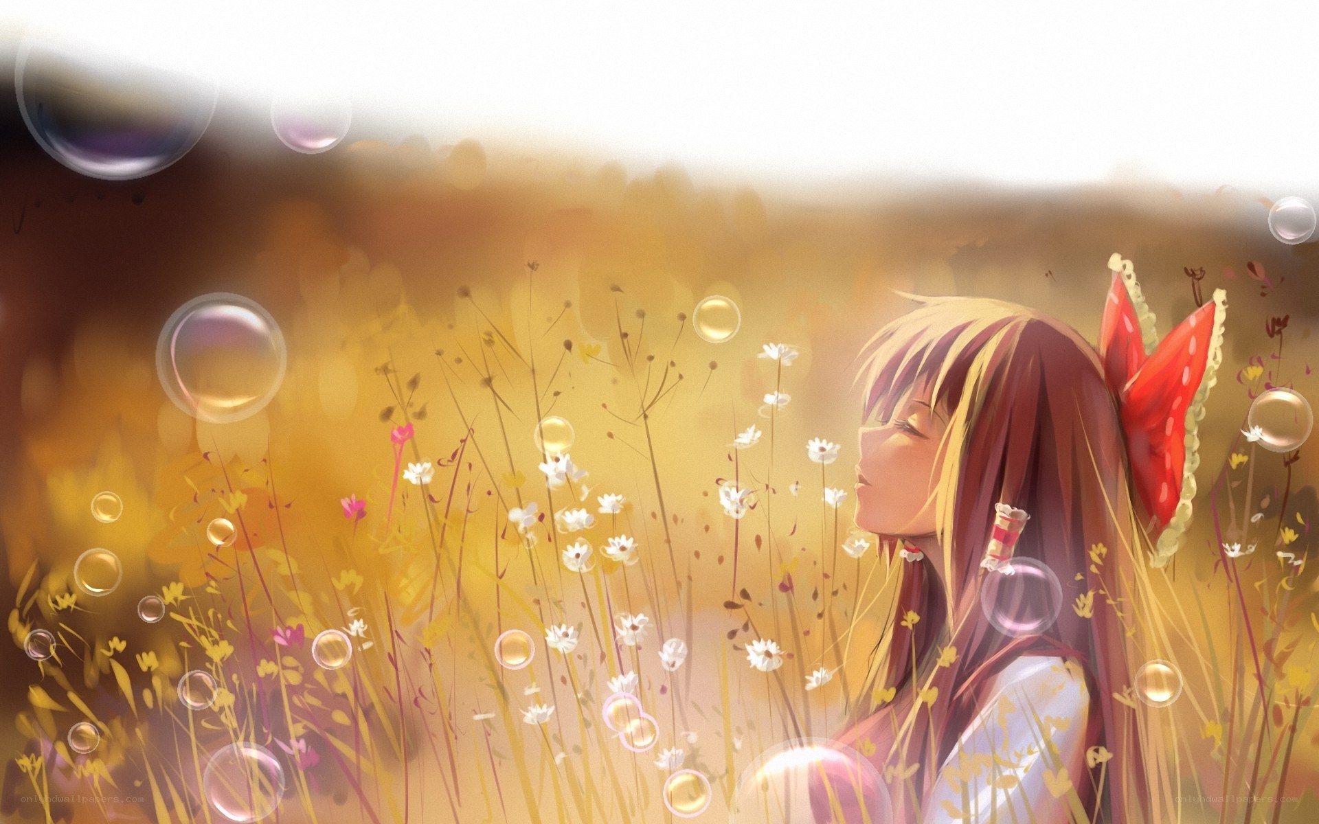 Anime girl in a field of flowers
