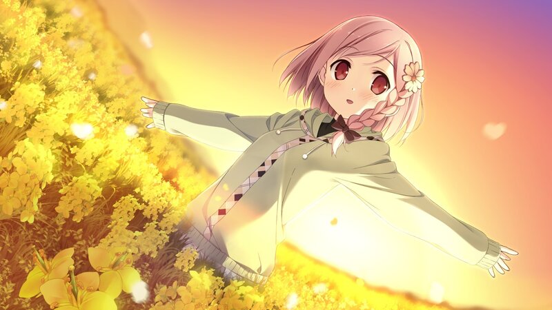 Anime girl in a flower field