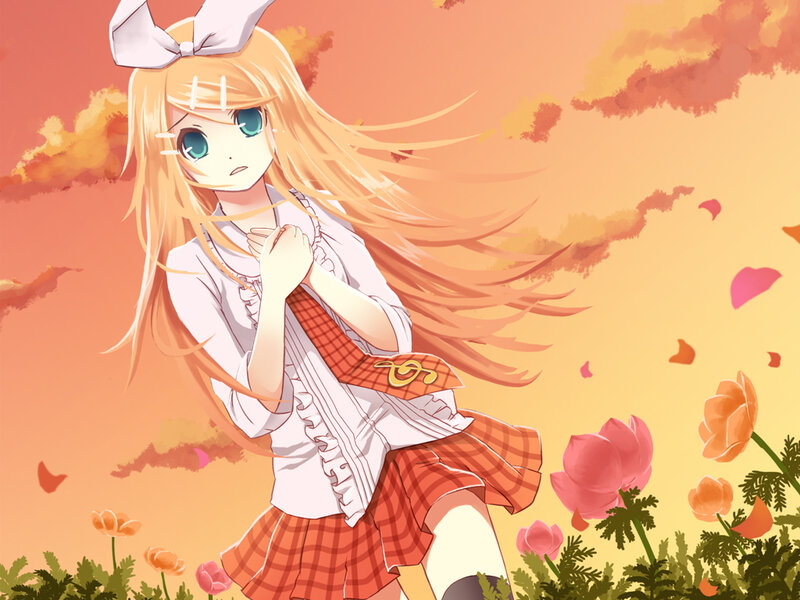 anime girl in a flower field
