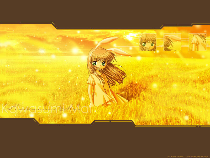 Anime girl in a golden field