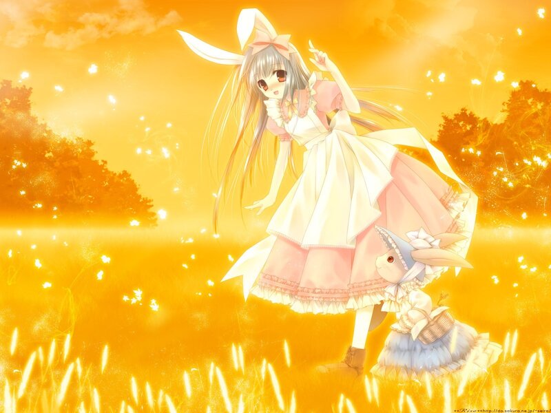 Anime girl in a golden field