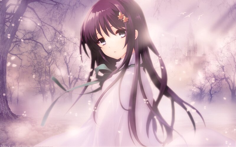 Anime girl in a misty forest
