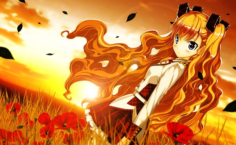 Anime girl in a poppy field