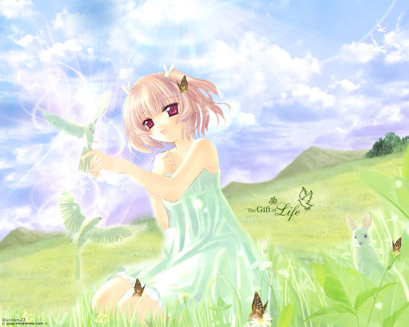 Anime girl in a sunny field