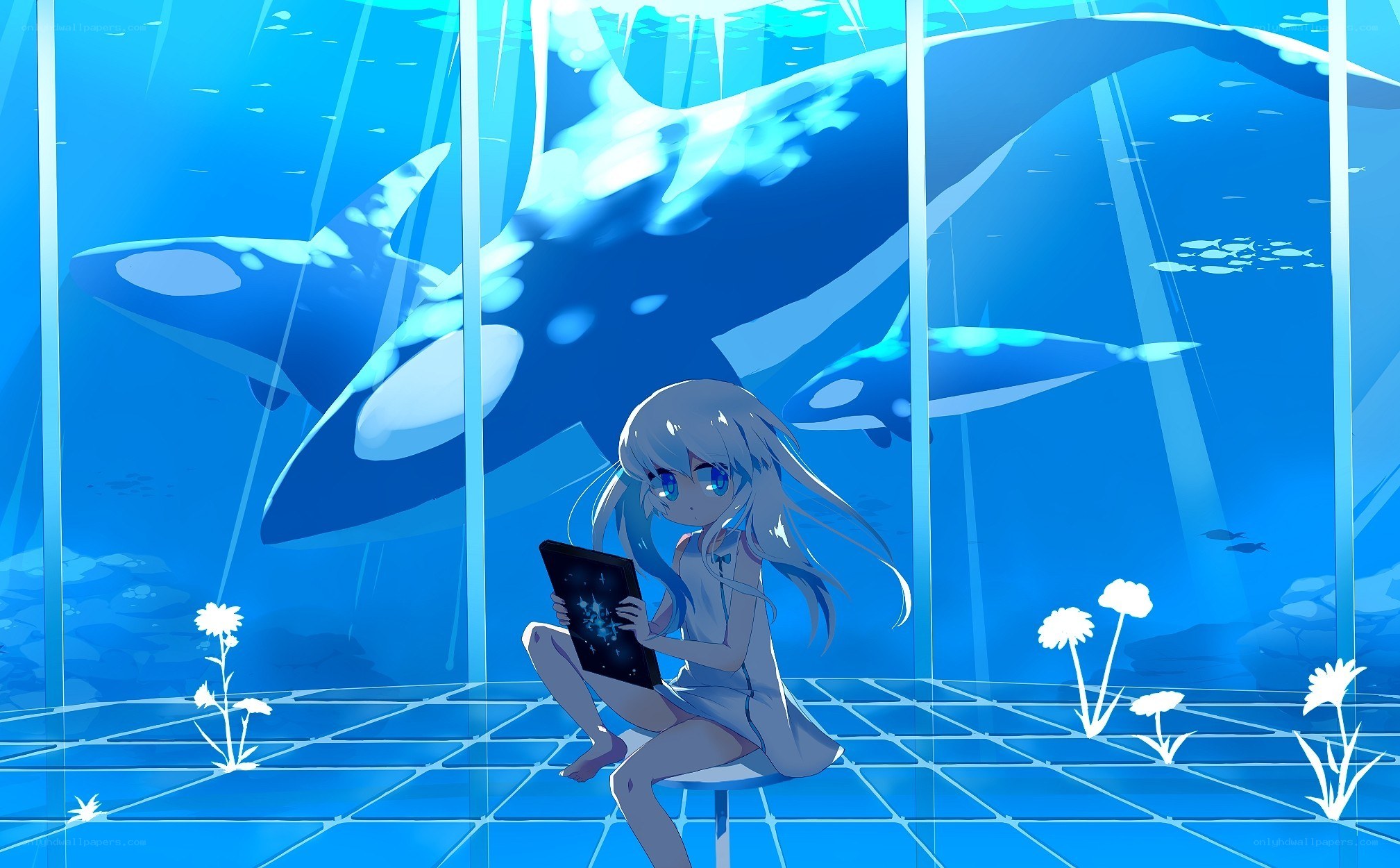 anime girl in aquarium