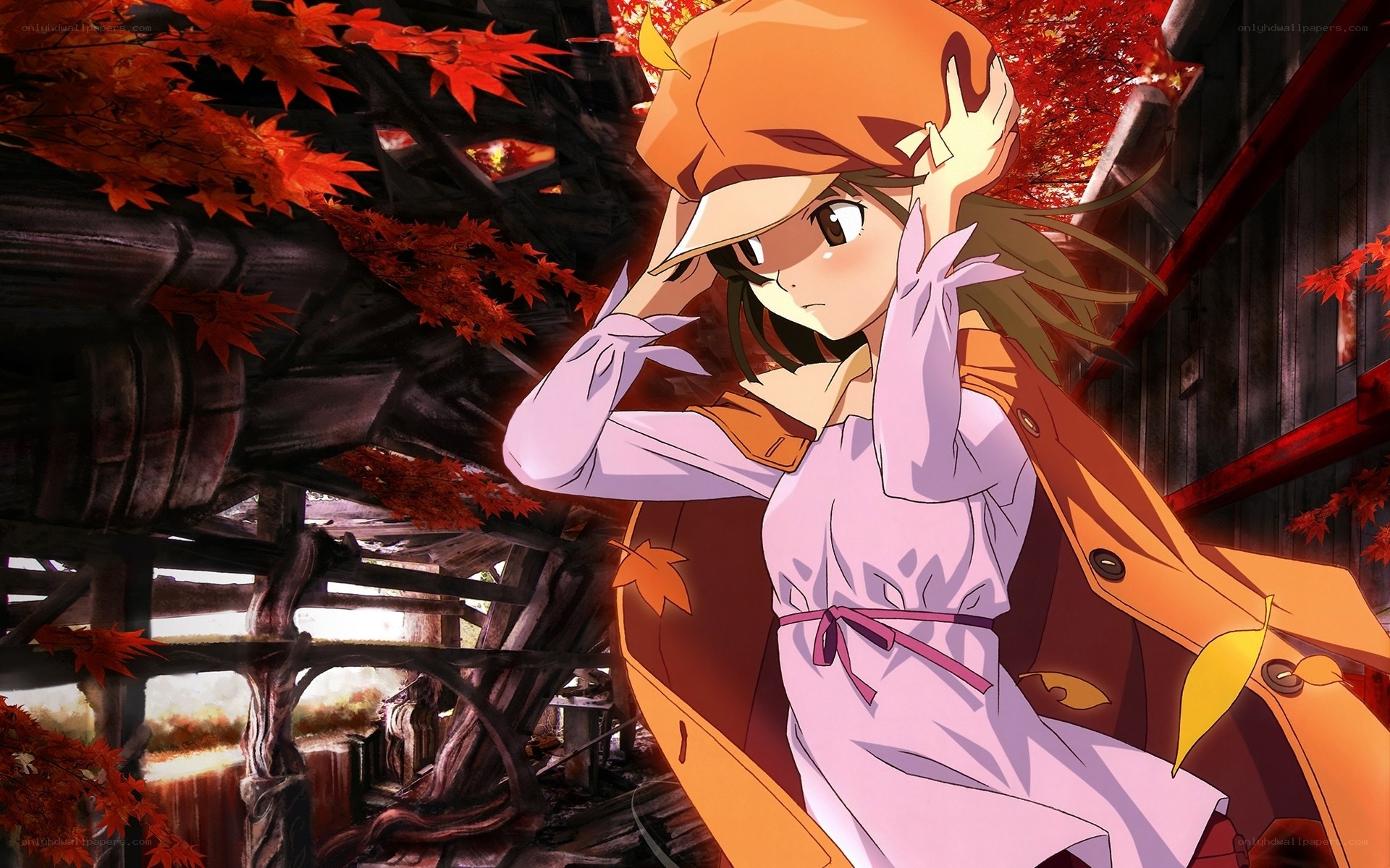 anime girl in autumn setting