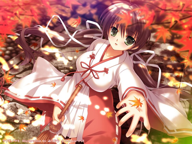 Anime girl in autumn with broom