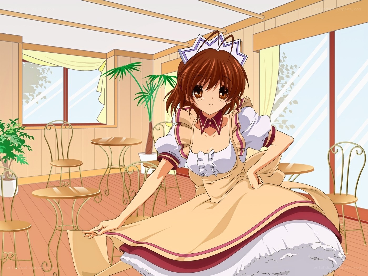anime girl in cafe