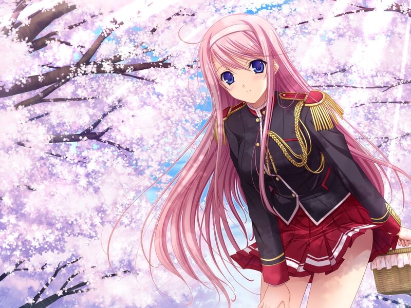 anime girl in cherry blossom