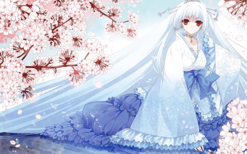 anime girl in cherry blossom