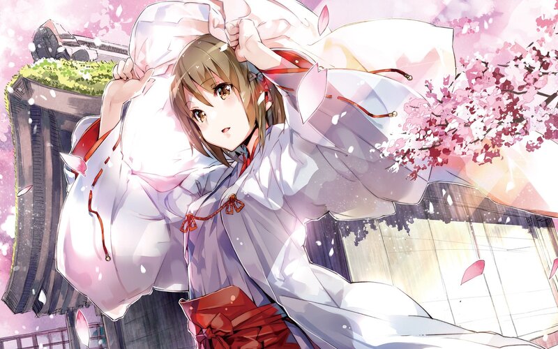 anime girl in cherry blossom