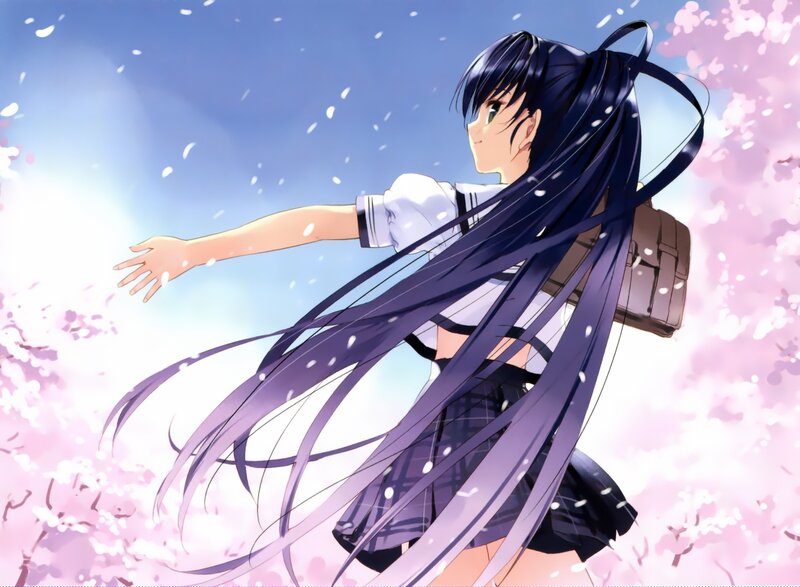 anime girl in cherry blossom