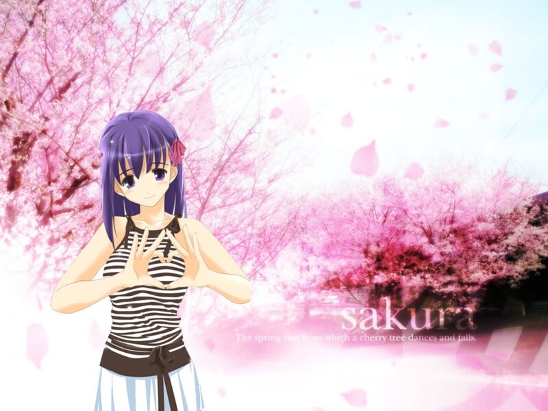 anime girl in cherry blossom