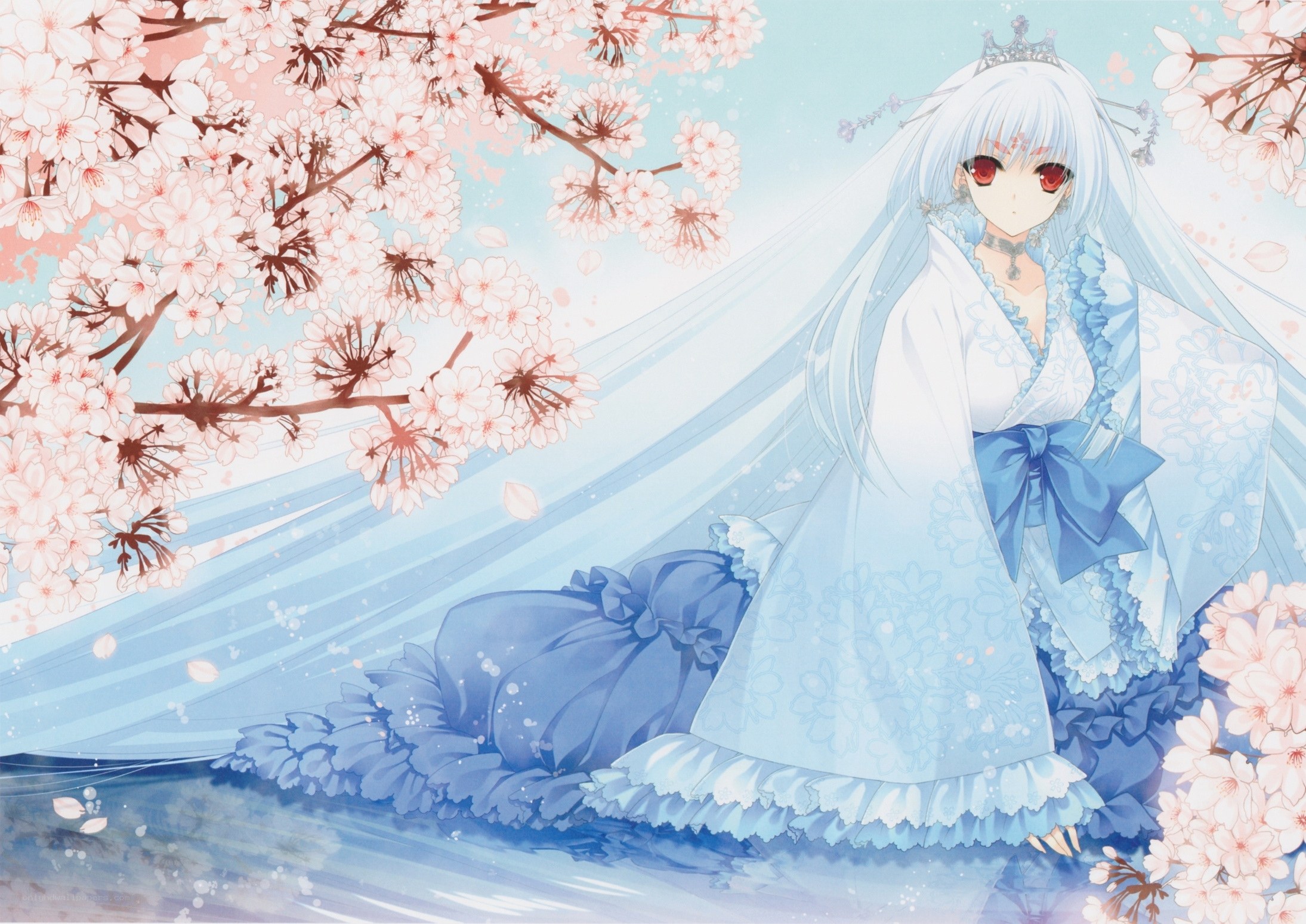 anime girl in cherry blossom