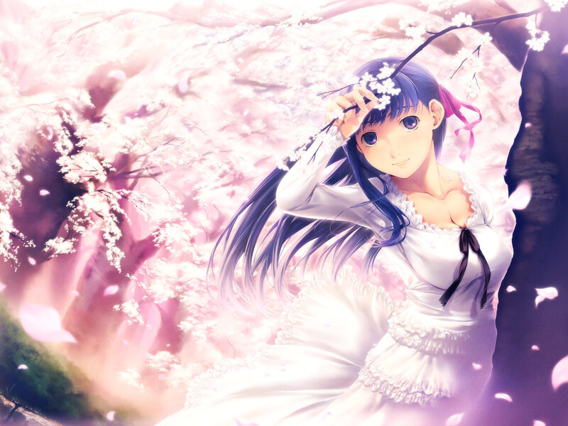 anime girl in cherry blossom