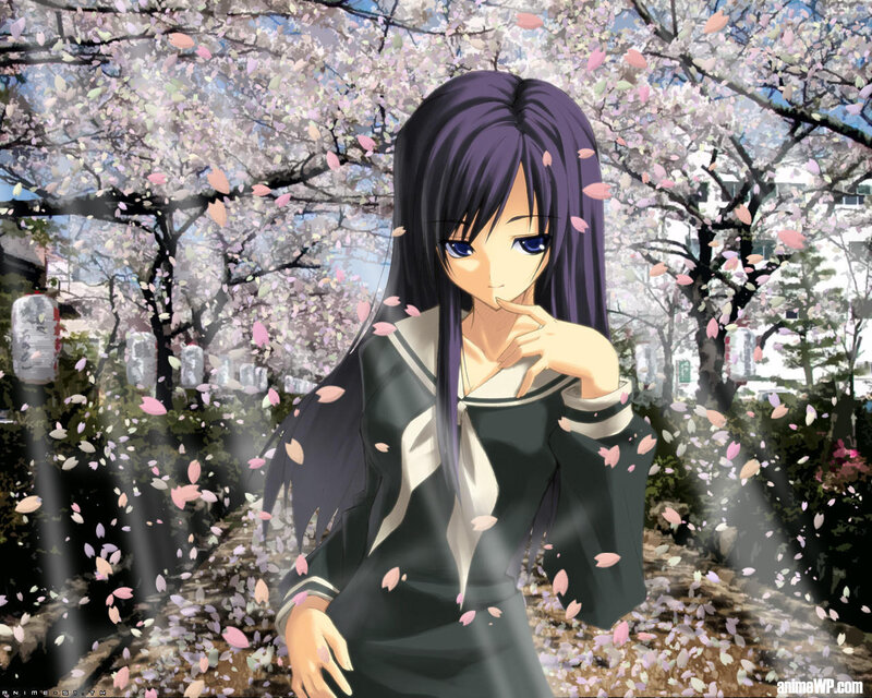 anime girl in cherry blossom