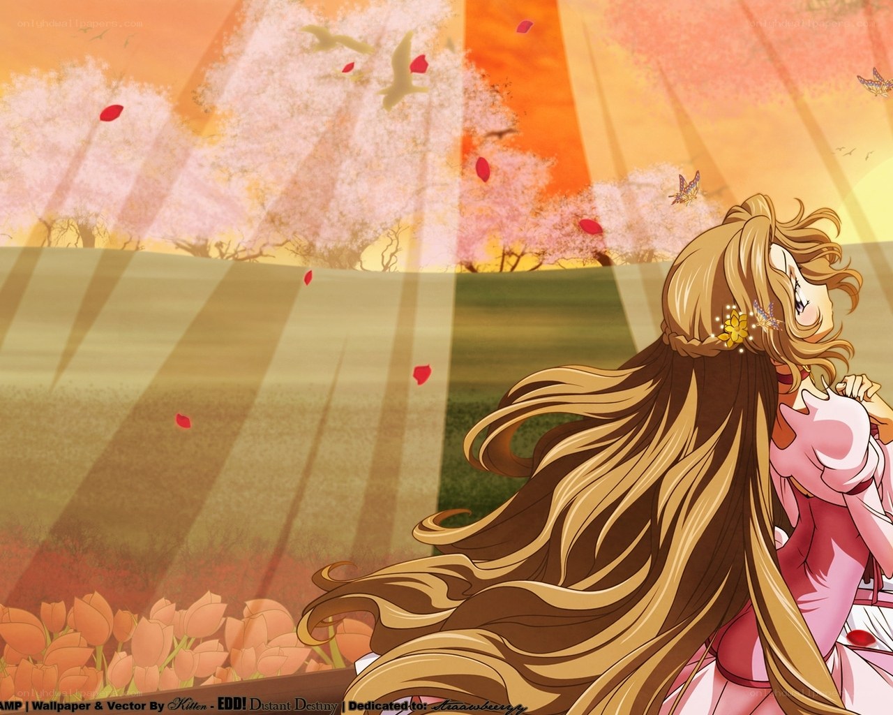 Anime girl in cherry blossom field