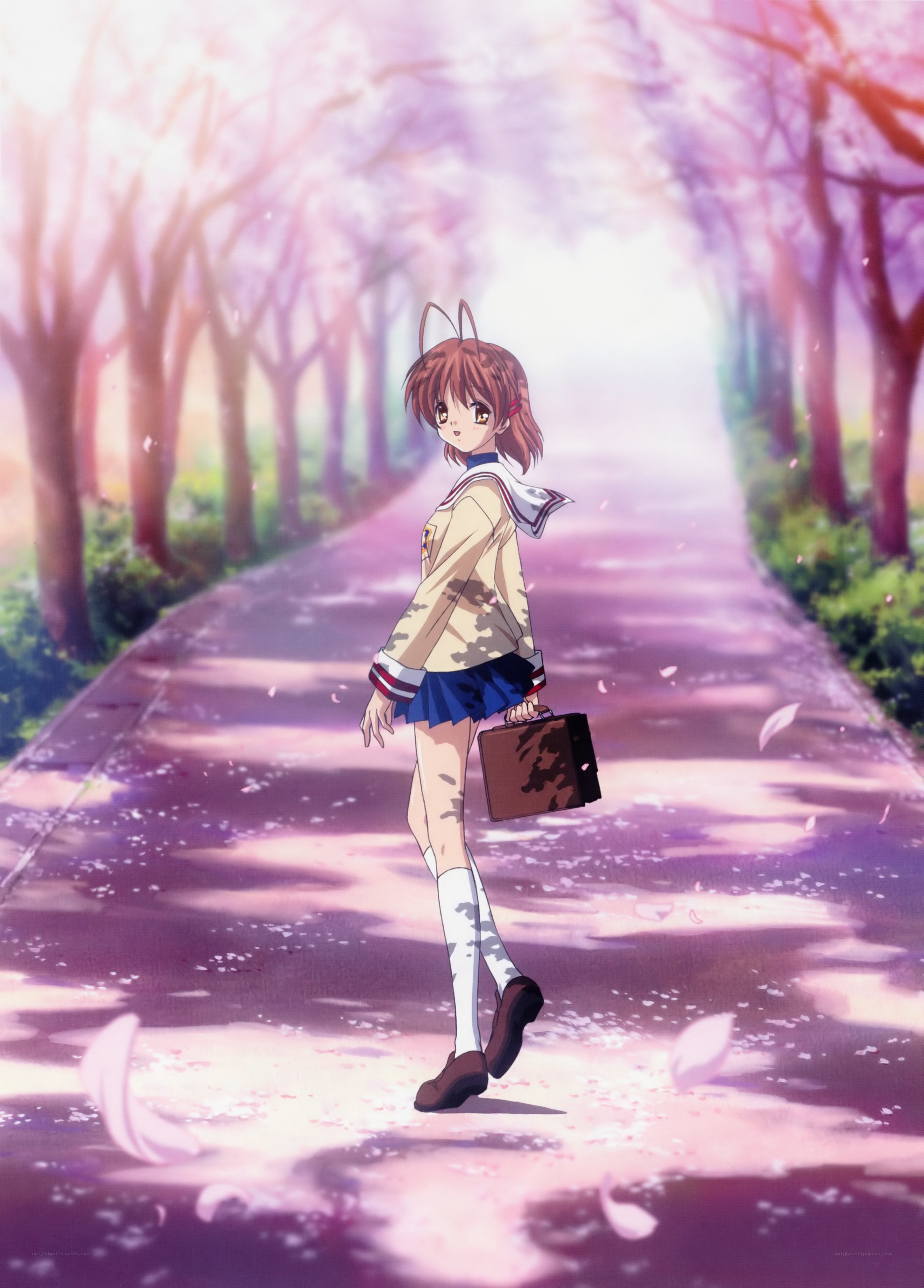 anime girl in cherry blossom path