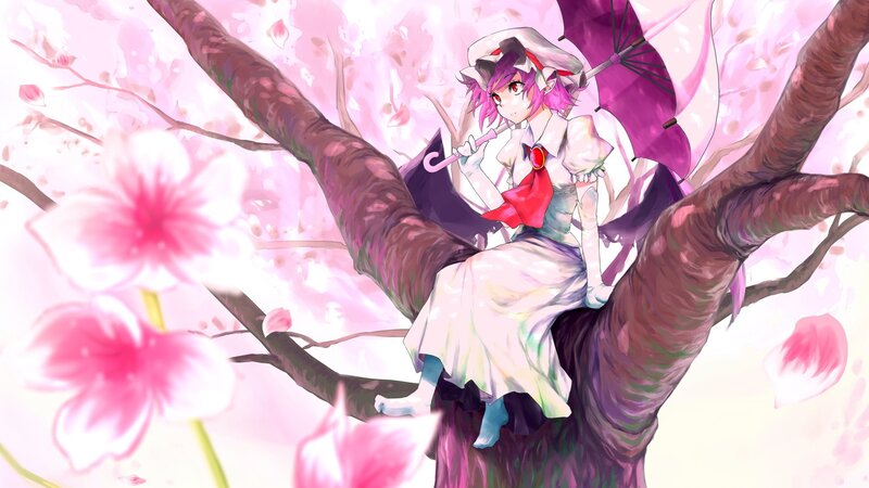 anime girl in cherry blossom tree