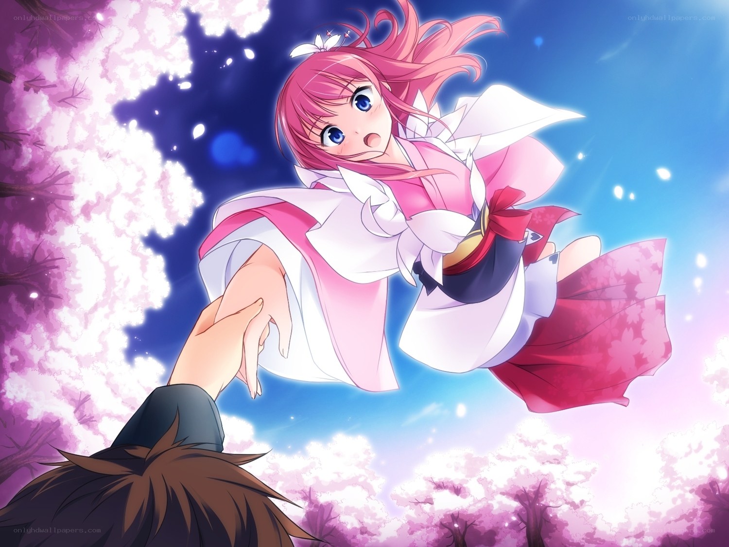 anime girl in cherry blossom