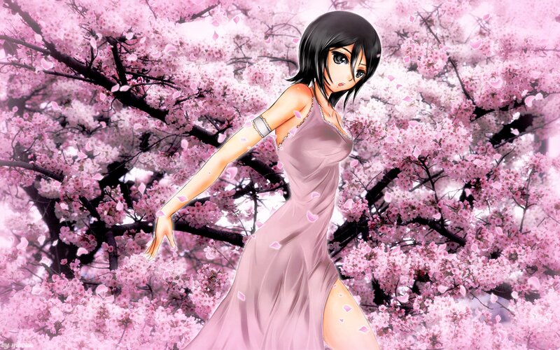 anime girl in cherry blossoms