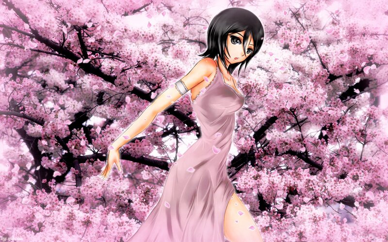 anime girl in cherry blossoms
