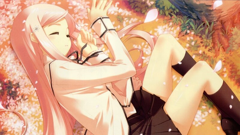 Anime girl in cherry blossoms