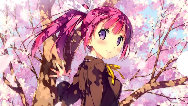 anime girl in cherry blossoms