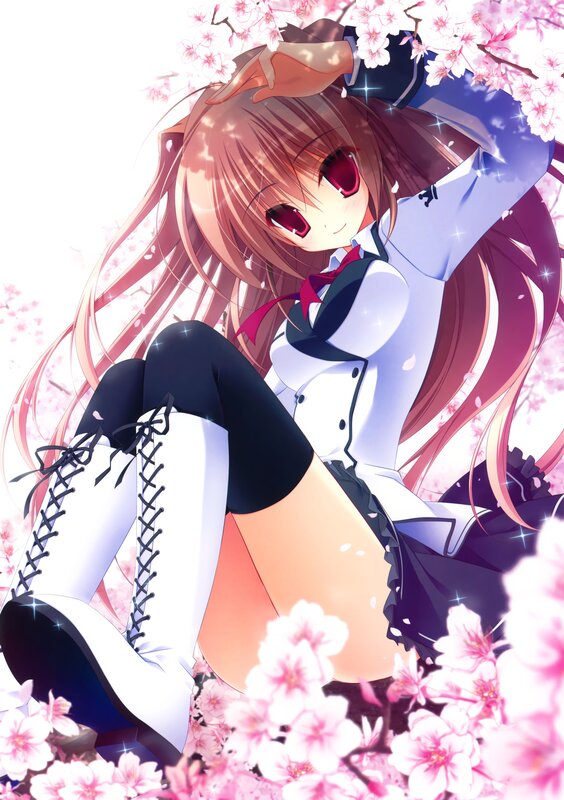 anime girl in cherry blossoms