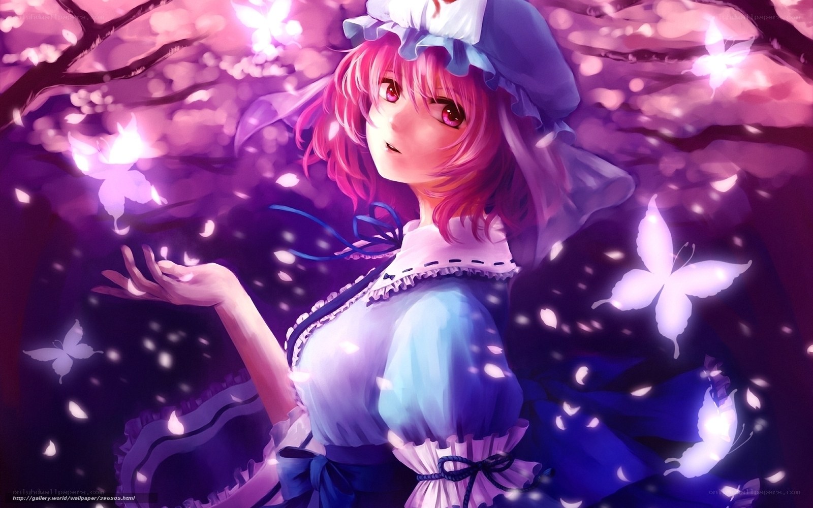 anime girl in cherry blossoms