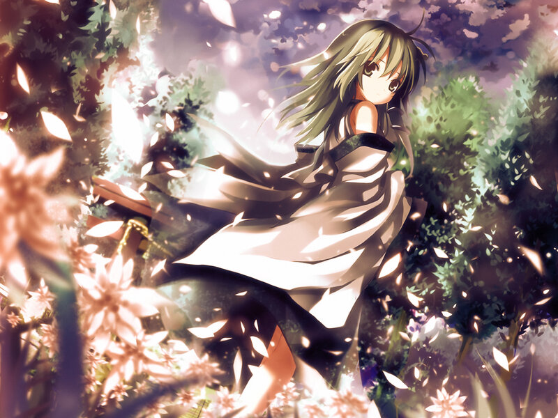 anime girl in cherry blossoms
