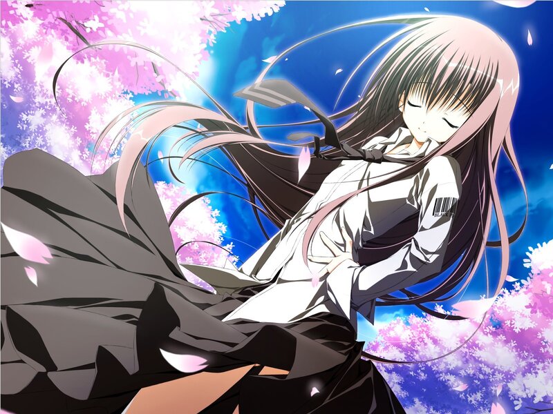 anime girl in cherry blossoms