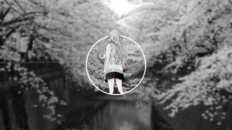 Anime Girl in Cherry Blossoms — Black