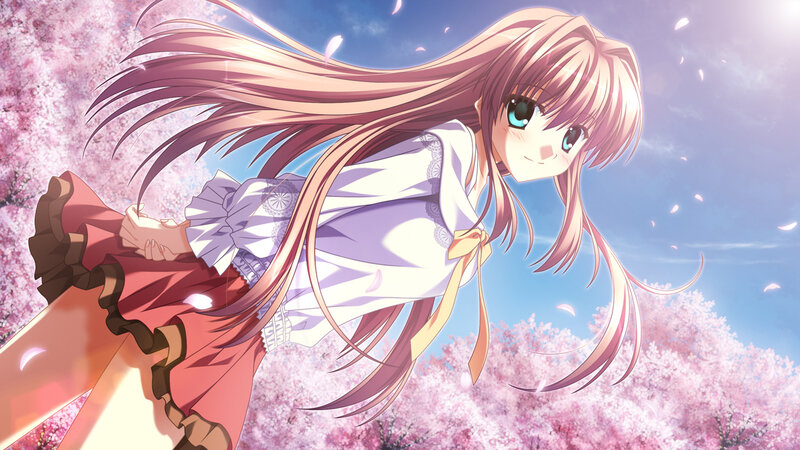 Anime Girl in Cherry Blossoms — Pink, Serene, Spring, Cherry Blossoms, Blue Sky