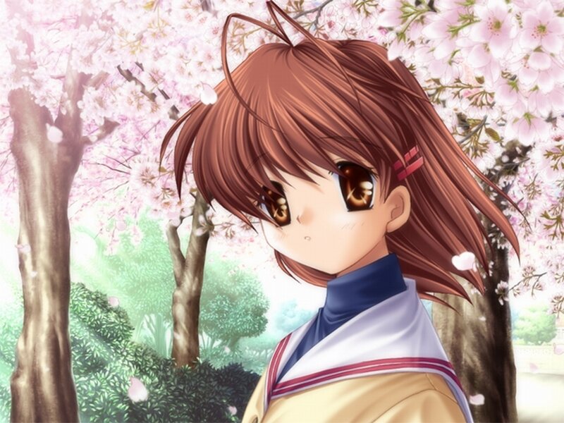Anime Girl in Cherry Blossoms — Pink, Serene, Spring, Cherry Blossoms, School Uniform, Trees, Brown