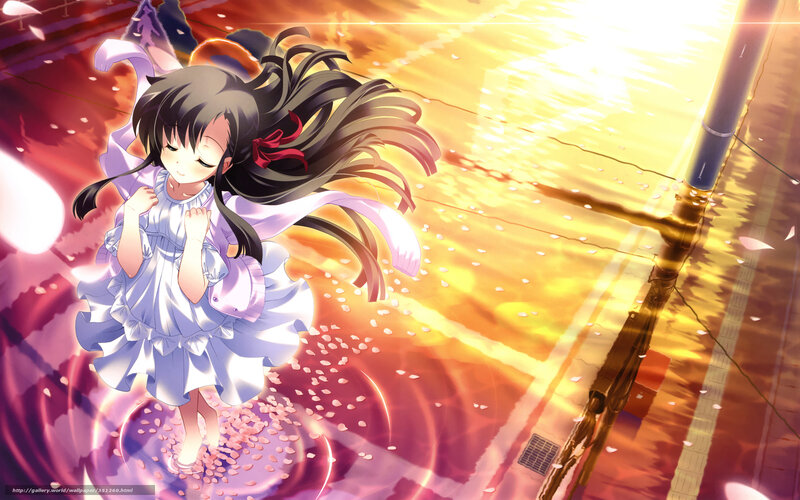 Anime Girl in Dress — Purple, Dramatic, Sunset, Cherry Blossoms