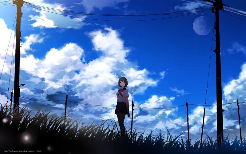 Anime girl in field at dusk