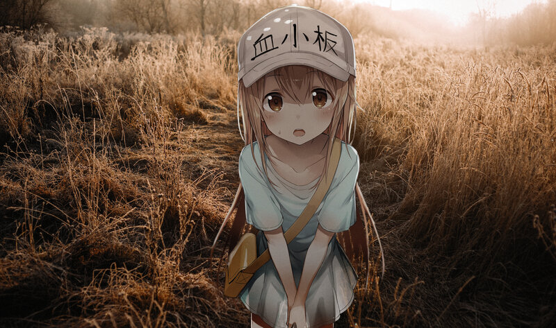 Anime Girl in Field — Brown, Serene, Sunset, Digital Art, Cap