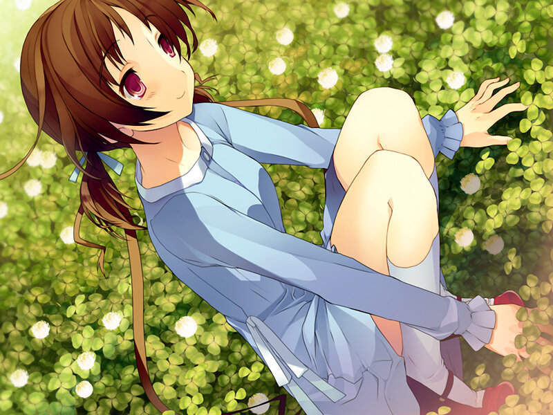 Anime Girl in Field — Green, Serene, Afternoon, Flowers
