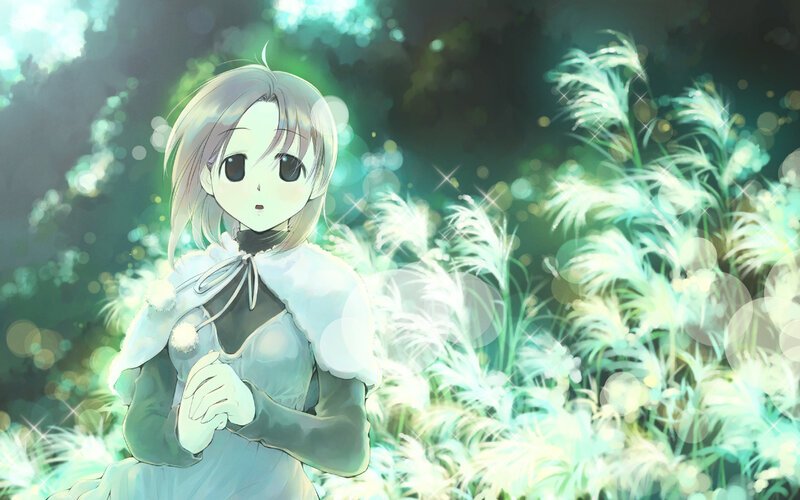 Anime Girl in Field — Green, Serene, Night