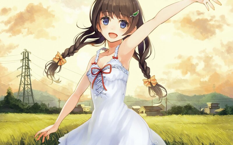 Anime Girl in Field — White, Serene, Sunset, Power Lines