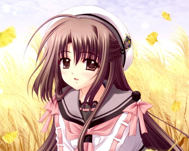 Anime Girl in Field — Yellow, Serene, Autumn