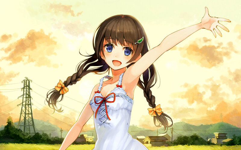 Anime Girl in Field — Yellow, Serene, Sunset, Power Lines